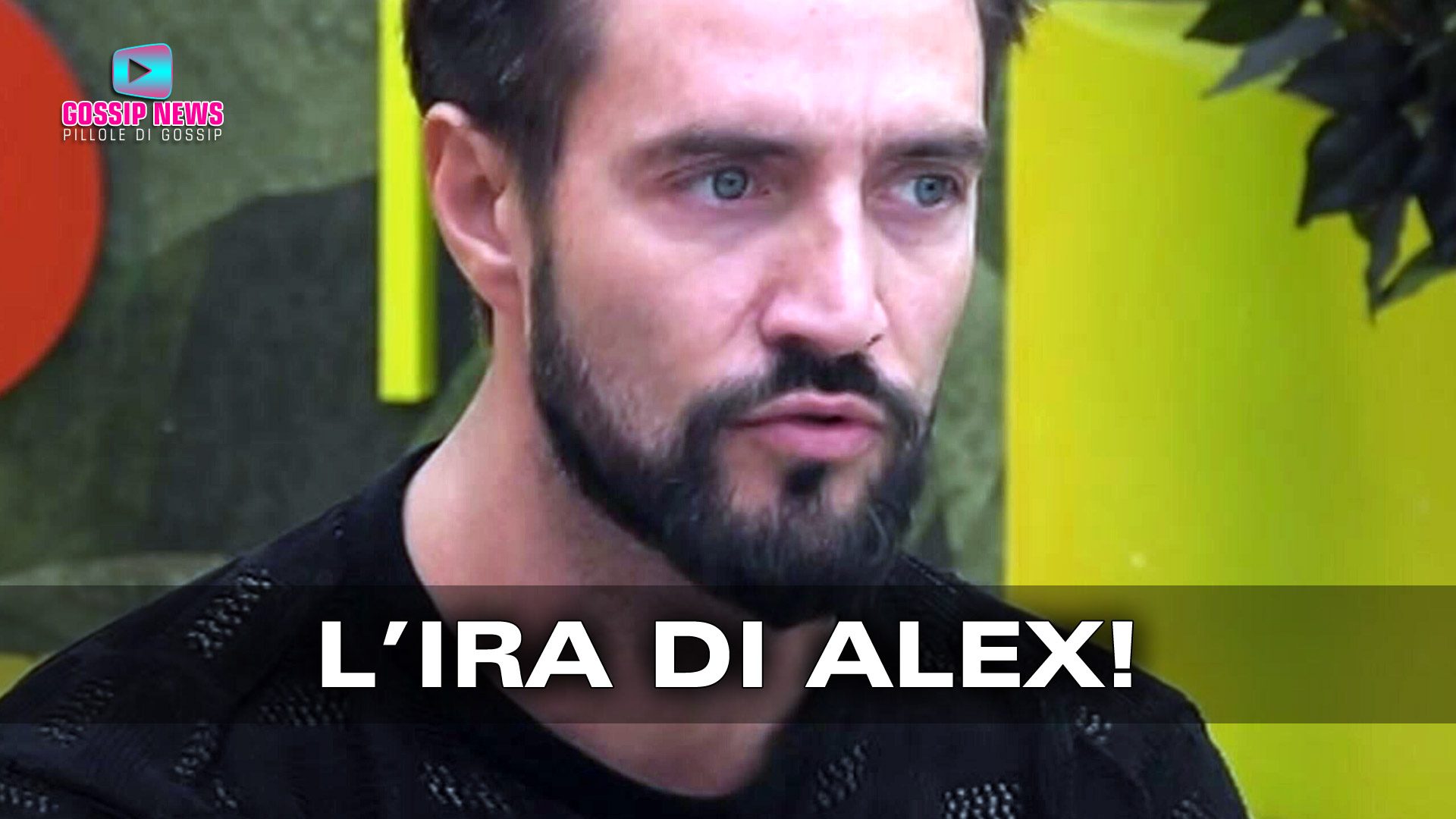 gf vip alex belli