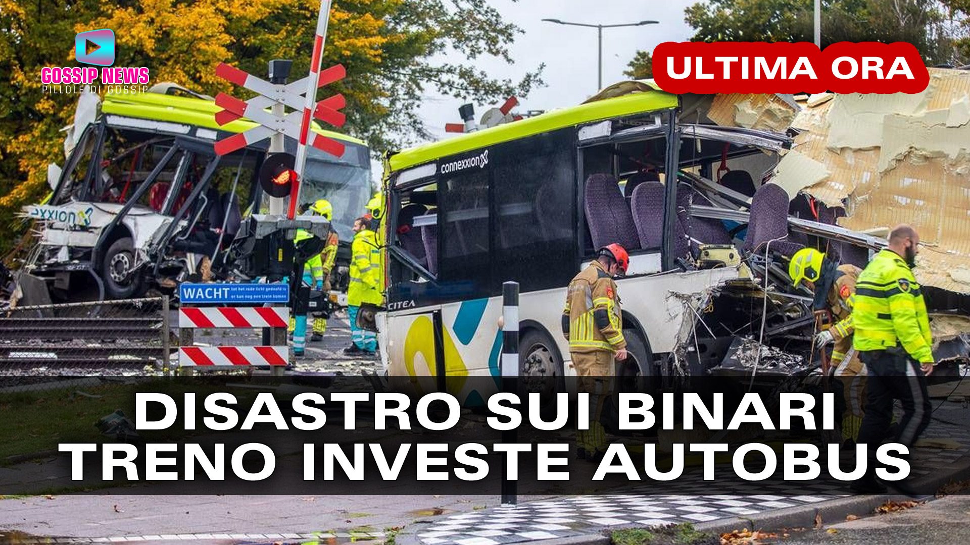 Autobus Investito Da Un Treno