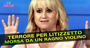 Terrore per Luciana Litizzetto: Morsa Da Un Ragno Violino