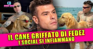 Il Cane Griffato di Fedez: I Social Si Infiammano!