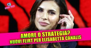 NUOVO AMORE PER ELISABETTA CANALIS: love story o strategia?