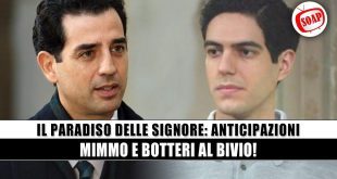 Il Paradiso delle Signore
