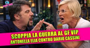 Scoppia la guerra al Gf Vip: Antonella Elia e Dario Cassini ai ferri corti